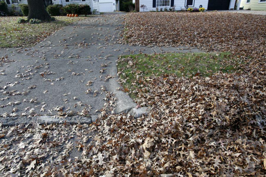 Raking leaves has become an important aspect of the changing seasons.