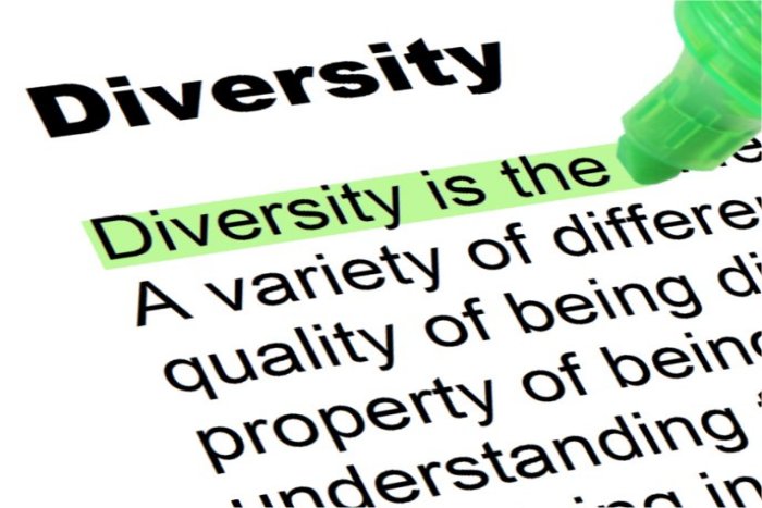 Diversity+isnt+tough+for+companies+like+Pinterest+to+figure+out%2C+as+its+been+a+big+reason+for+its+success.