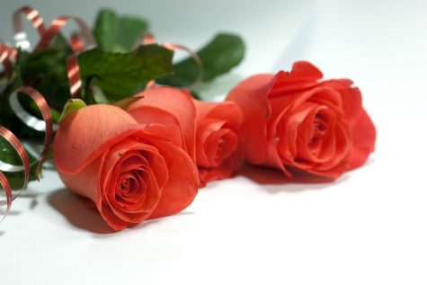 In Memoriam: Ms. Monica Senra
