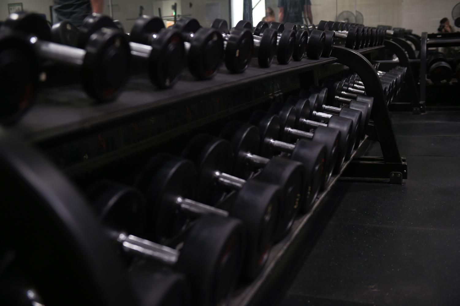 Dumbbell free-weights, seen here for use at the Dyess Fitness Center at Dyess Air Force Base in Texas, can be found at any gym.
