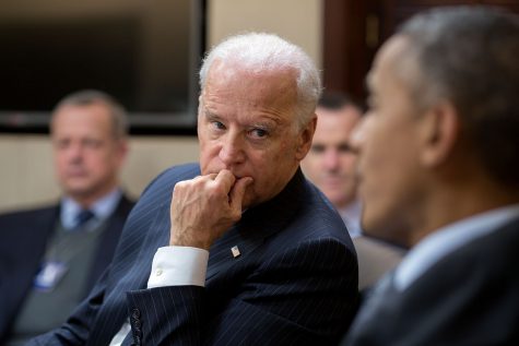 Biden, others likely 2020 Democratic candidates (Part I)