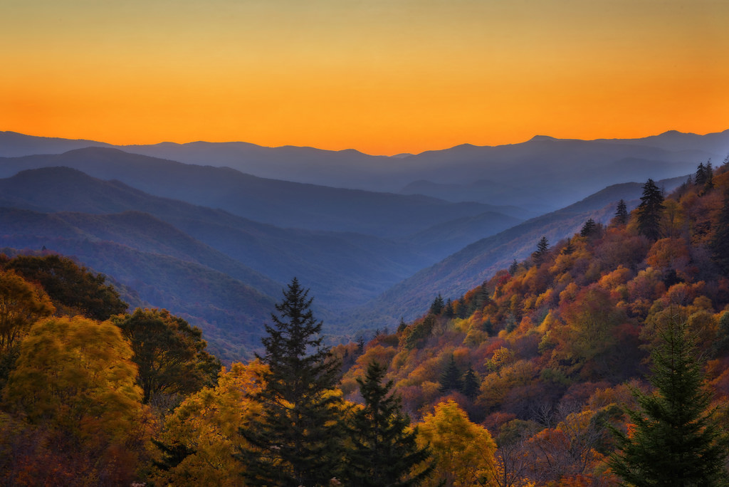 After traveling to Georgia for two weeks, Dr. Nadine Brown will then travel with her family to the Smoky Mountains for 10 days.