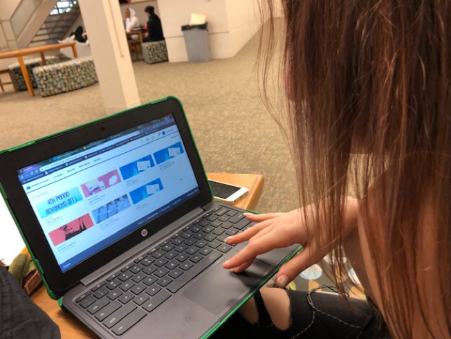Senior Alexis Krejci checks her Schoology dashboard to get updates.  One of Krejci’s teachers, Alex Shaw, posts many assignments to Schoology for her English 4 Self-Paced class.  
