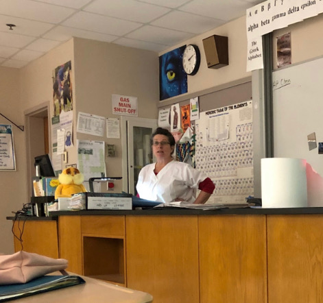 Ancell teaches one of her last, first semester chemistry classes.