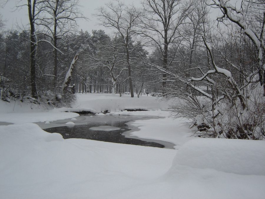 Snow and ice conditions affect everyday life,  specifically school