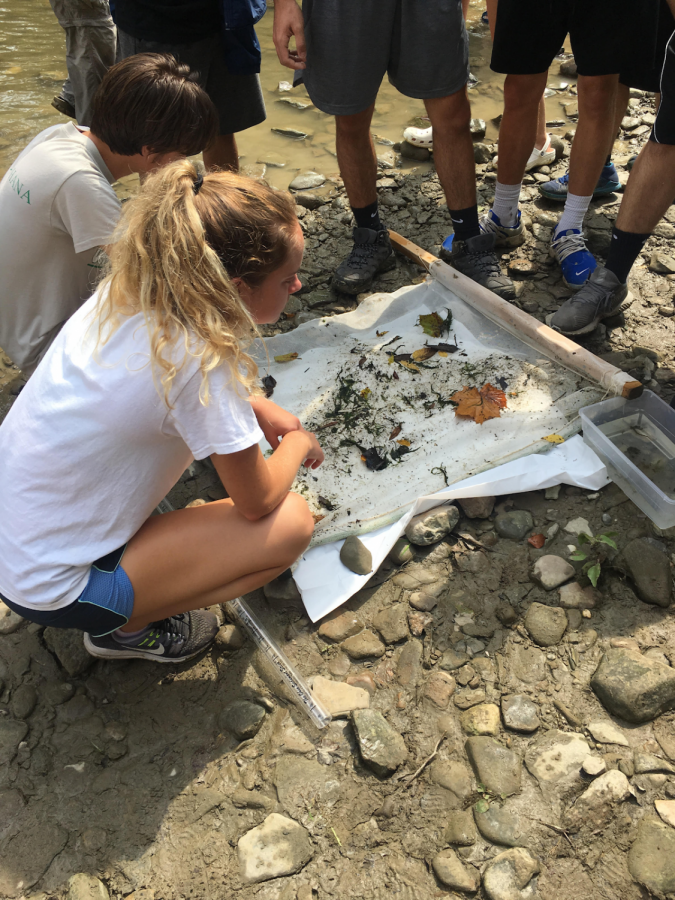 Club leader Allison Laws sifts through findings from the Chagrin River during a club outing.