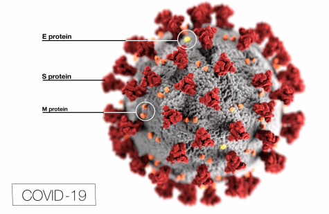 This illustration, created at the Centers for Disease Control and Prevention (CDC), reveals ultrastructural morphology exhibited by coronaviruses.