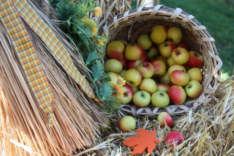 Fall festivals have been a popular attraction in September and October, as families have picked apples and pumpkins.